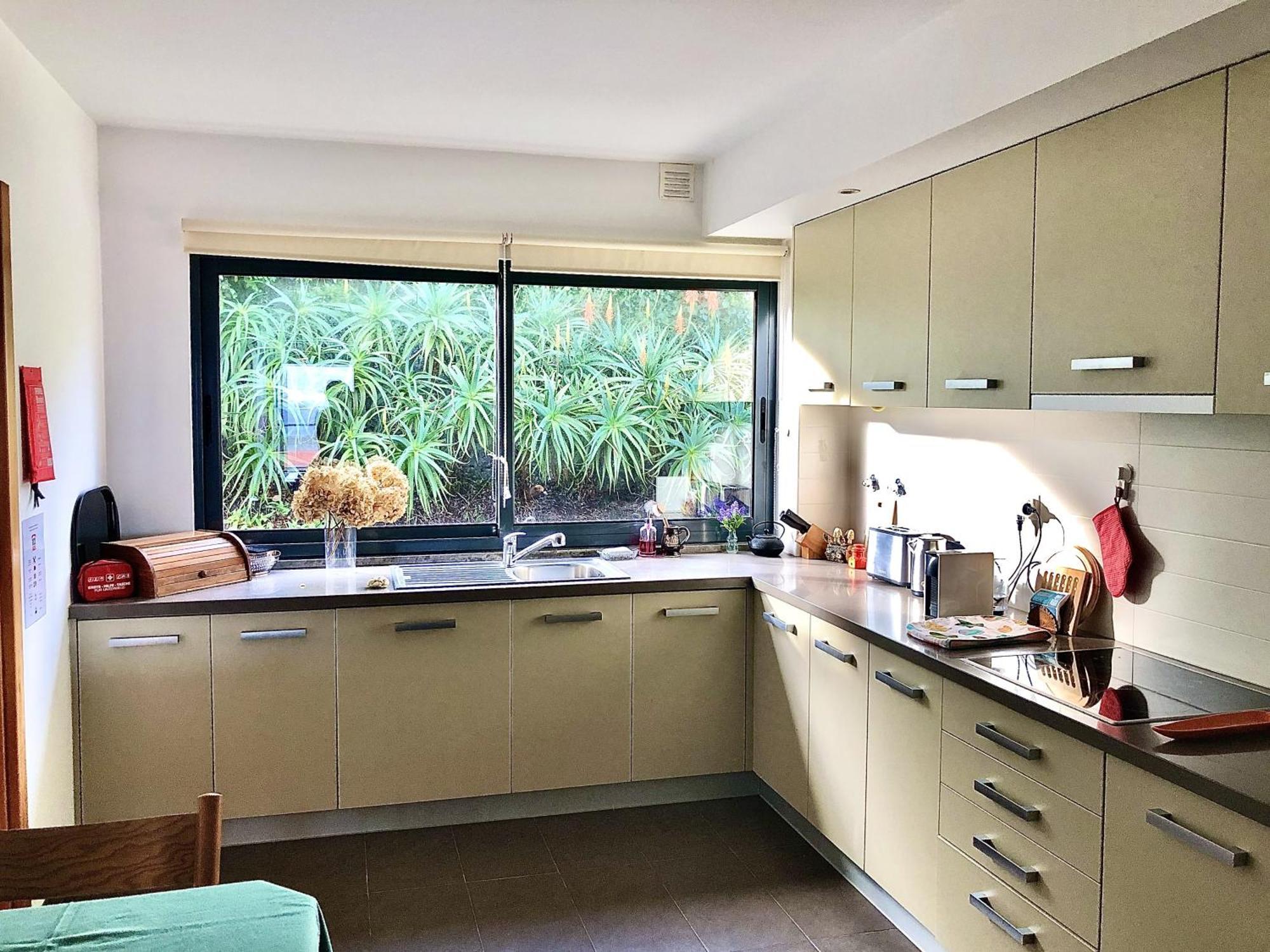 Apartment Oceanus